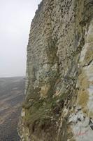 Cjp_2010_04_15_072305 (2).jpg